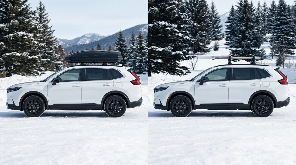 What's Your Style? Choosing the Right Carrier Type